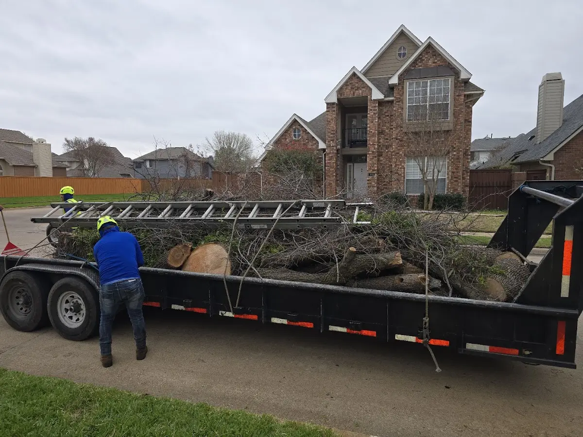 Expert Tree Fertilization with proper safety equipment in Palmer